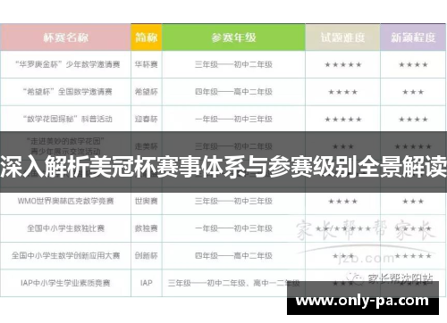 深入解析美冠杯赛事体系与参赛级别全景解读 深入解析美冠杯赛事体系与参赛级别全景解读