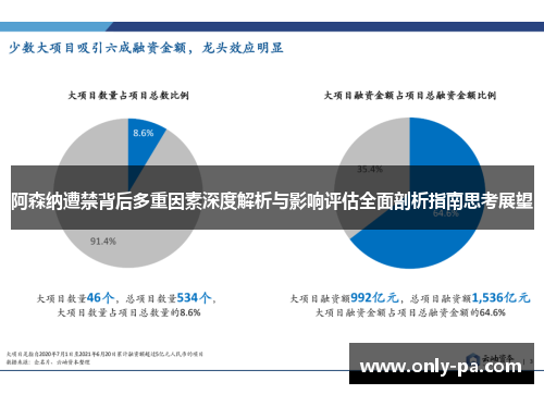 阿森纳遭禁背后多重因素深度解析与影响评估全面剖析指南思考展望