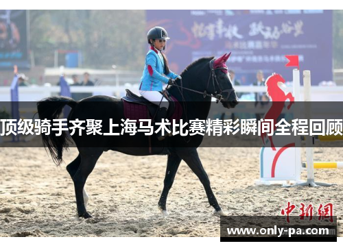 顶级骑手齐聚上海马术比赛精彩瞬间全程回顾