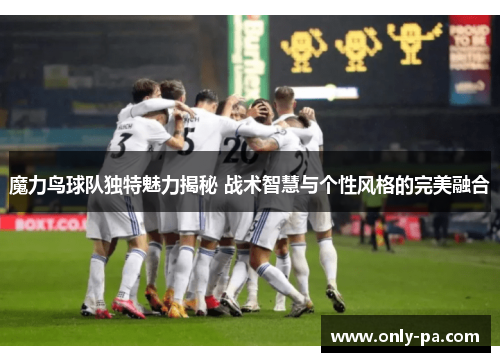 魔力鸟球队独特魅力揭秘 战术智慧与个性风格的完美融合